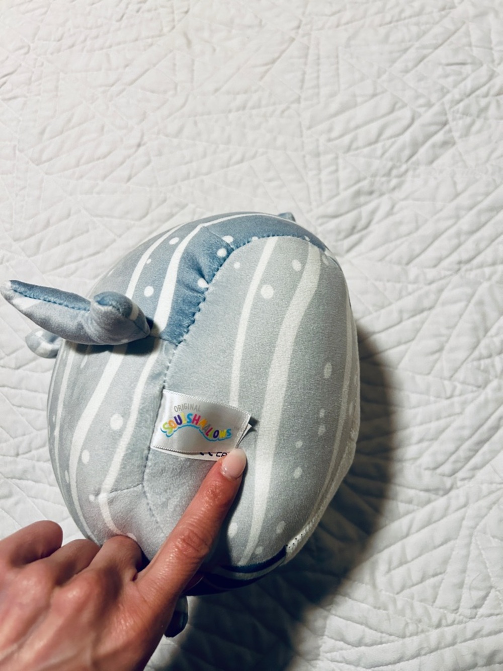 Sachie Shark Squishmallow Plush - Picture 5 of 5